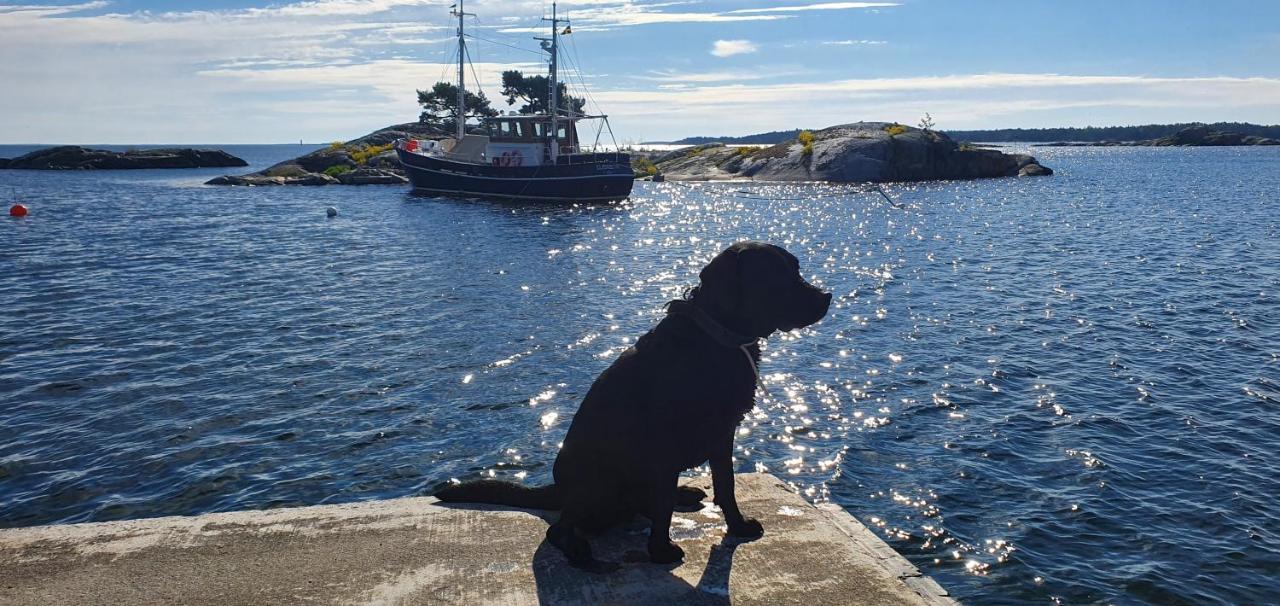 Moeja Stuga I Stockholms Skaergard Eksteriør bilde